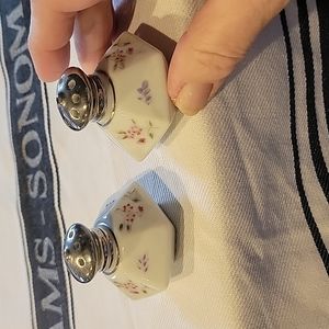 Floral Salt n Pepper Shakers,Individual set
